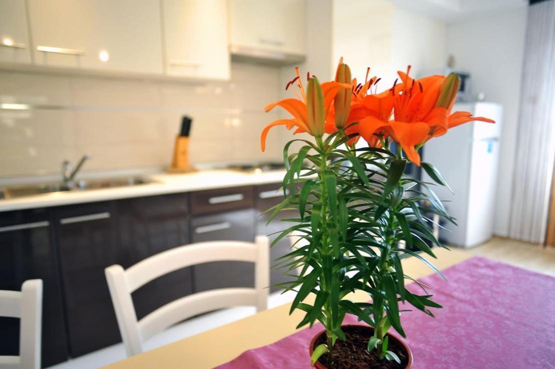 Apartmani Anita Medulin Exteriér fotografie